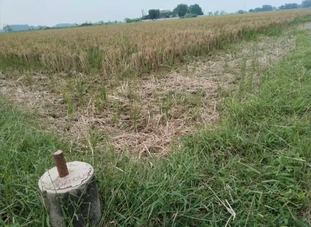 Jual kavling 450 meter, bisa TT mobil, bisa kredit