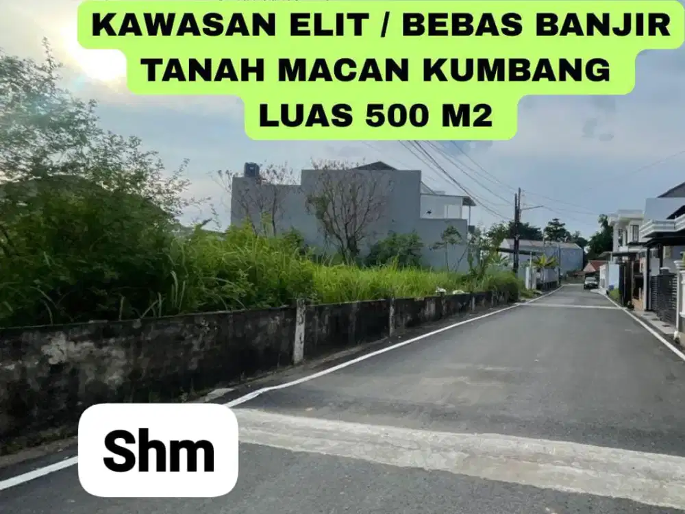 TANAH JL MACAN KUMBANG, DEMANG LEBAR DAUN