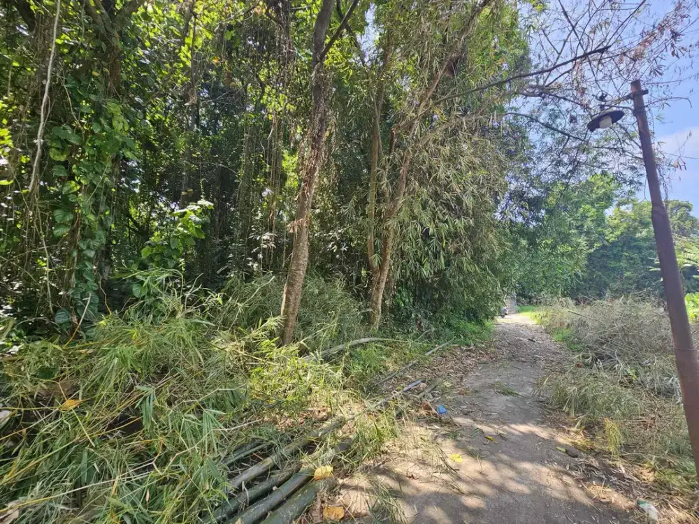 DIJUAL TANAH SUPER LANGKA PINK ZONE AREA BRABAN TANAH LOT