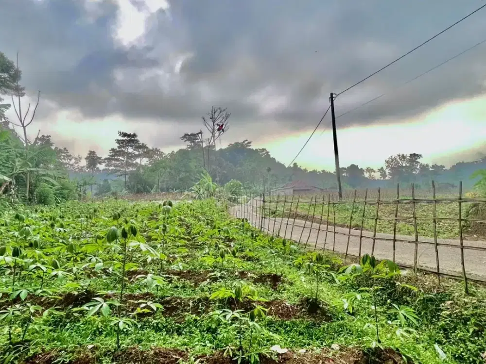 Dijual Murah Tanah Akses Mobil di Daerah Dingin Bojong Purwakarta