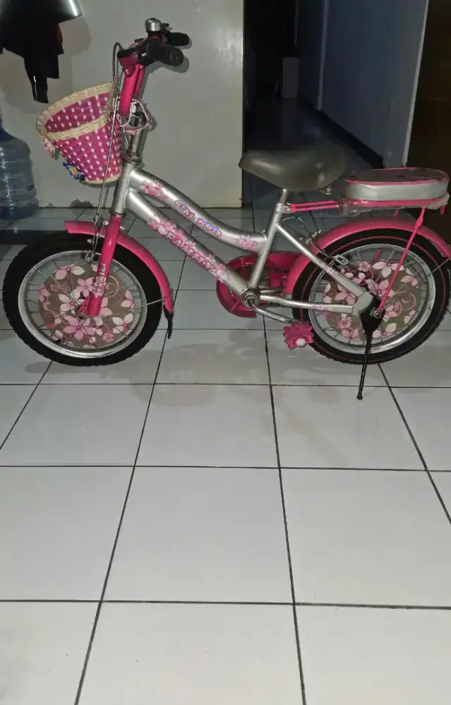 Sepeda Keranjang Family Silver Pink Anak Perempuan Girl Power 16inch