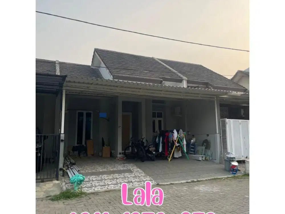 SIAP HUNI LANGSUNG BAWA KOPER ANGELONIA START 1MAN MASIH NEGO