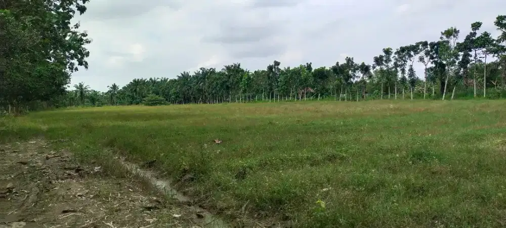 Di jual tanah kosong darat/ datar/