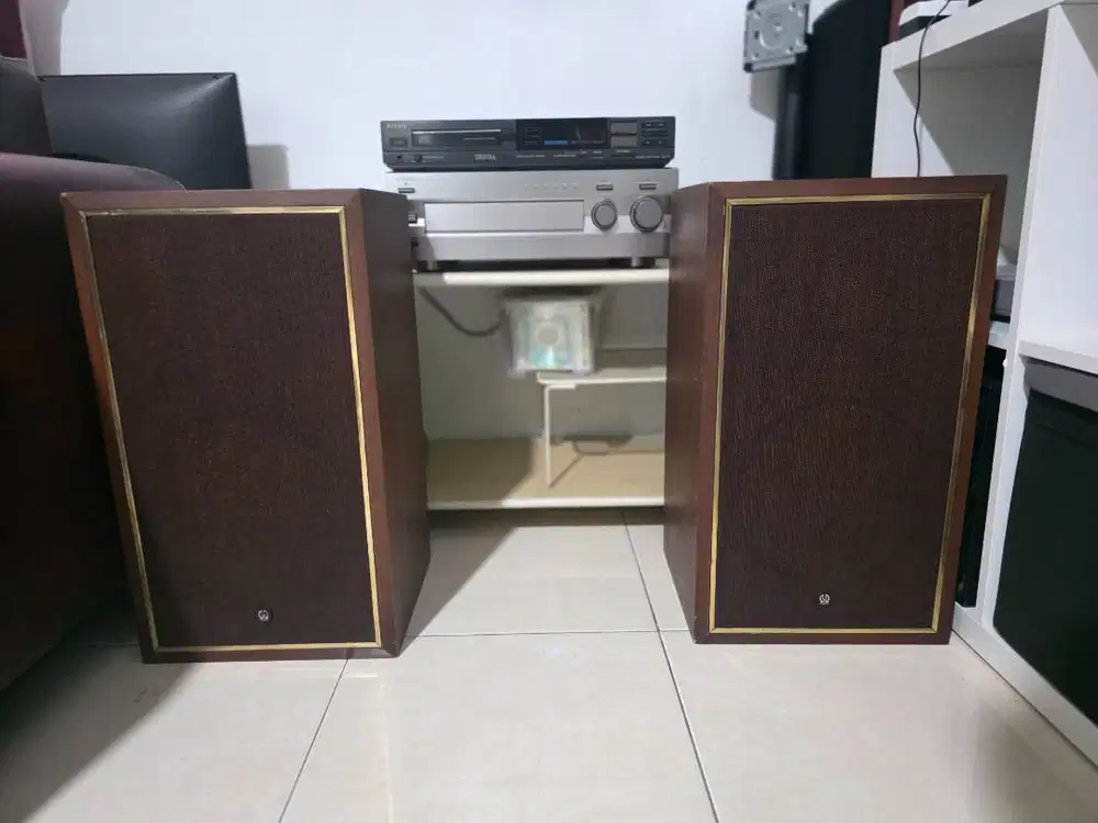 Vintage Pioneer Speaker System CS-411