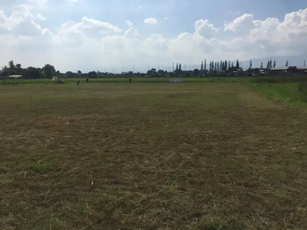 Dijual Tanah Sawah Produktif, Akses Mobil Besar & Lokasi Bojongsoang