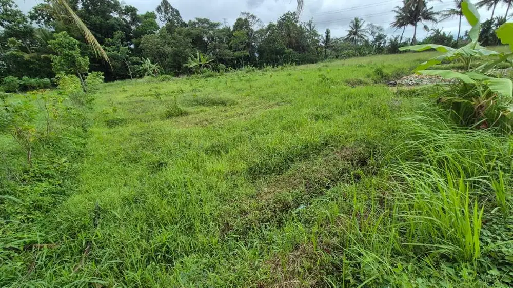 Tanah 1000m² Strategis di Sleman — Dekat Venue Wedding, RS & Jalur Tra