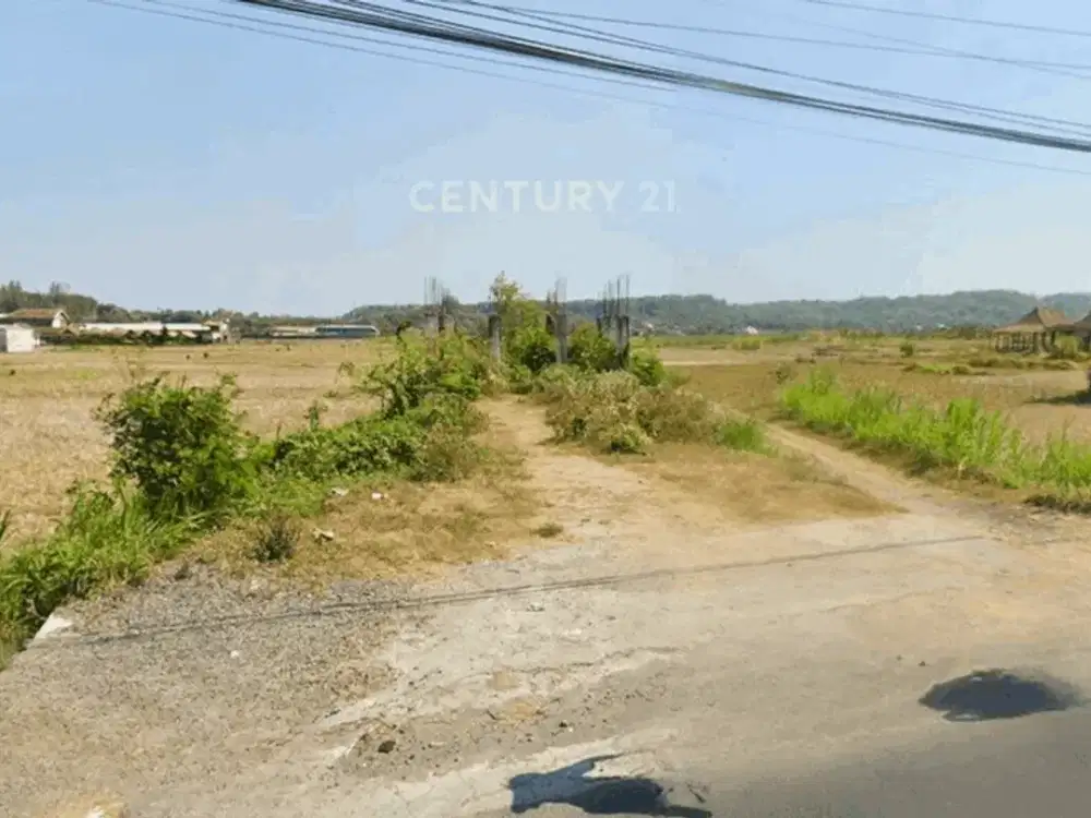 Tanah Hook 517m2 Di Kasongan Bantul Untuk Minimarket Atau Cafe