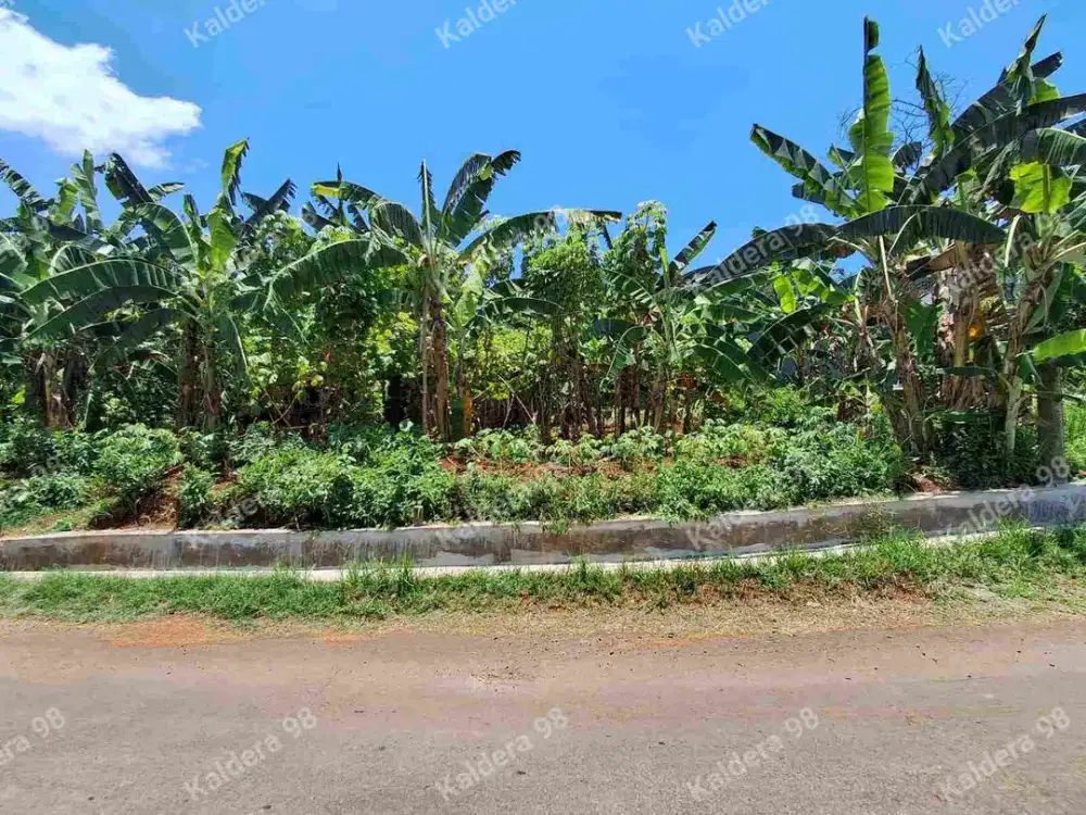 Kavling Dekat UNNES Kawasan Kost Pinggir Jalan Aspal Hanya 245 juta