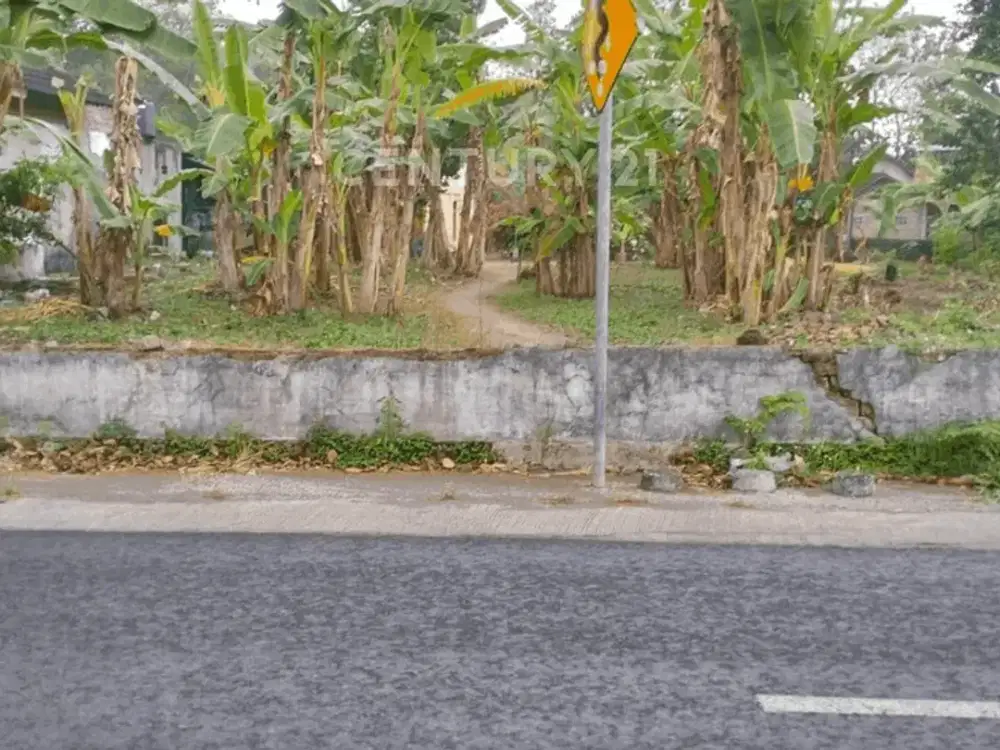 Tanah Pekarangan 1019m2 Di Pinggir Jalan Utama Segoroyoso Bantul