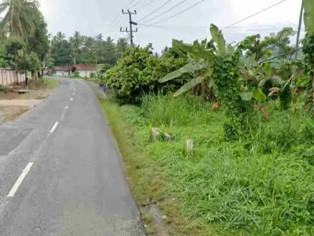 tanah 6.475 m² way ratai mutun pesawaran