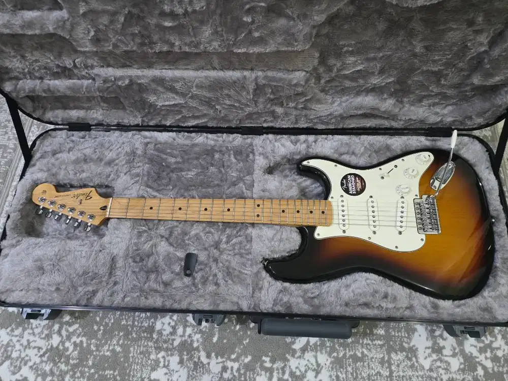 Fender Mexico Standard