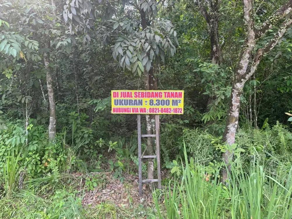 Dijual Tanah Pinggir Jalan Lingkar Prabumulih