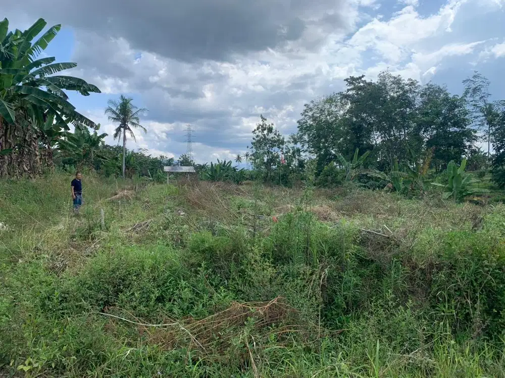 Tanah dijual di natar