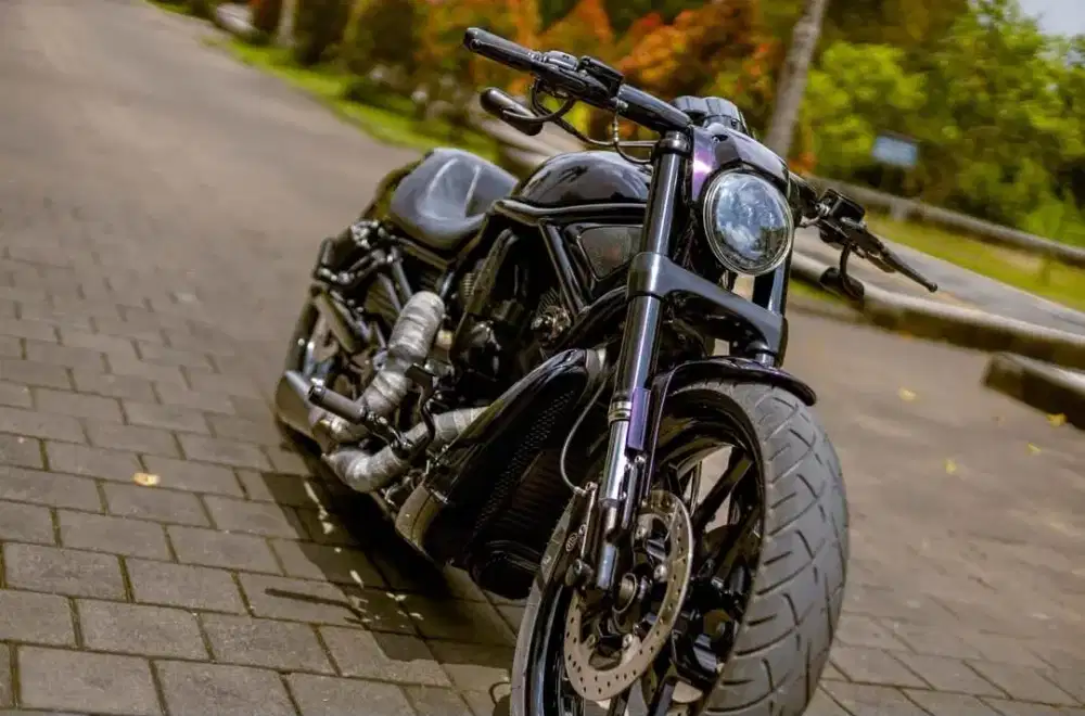 Harley Davidson Night Rod Special