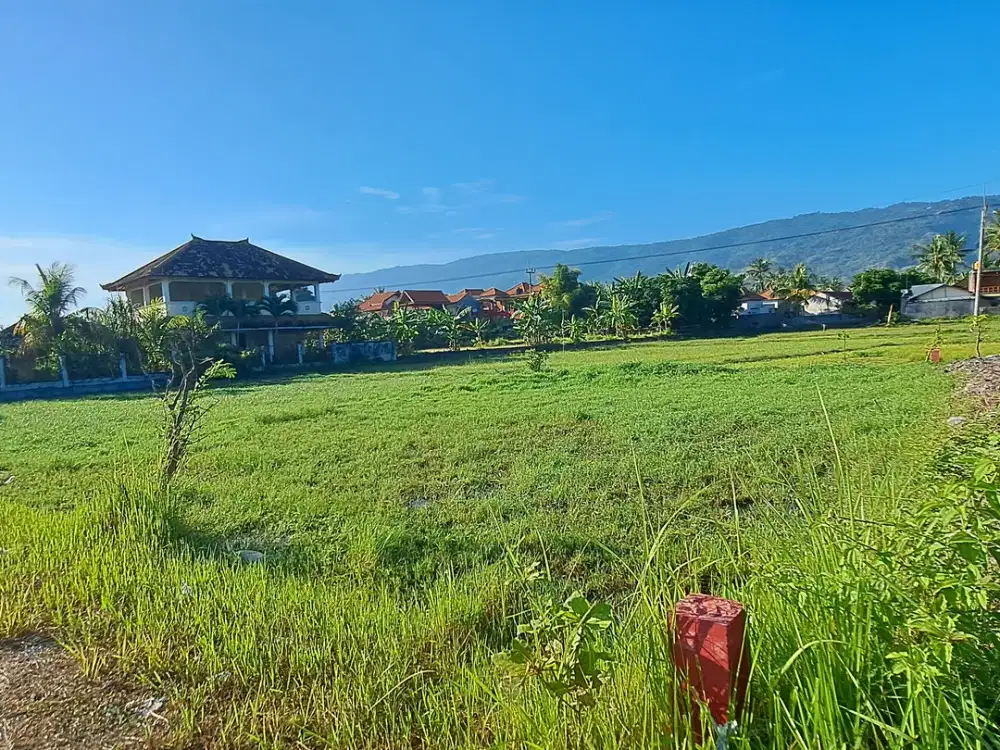 Land for Sale Near Lovina Center, Buleleng