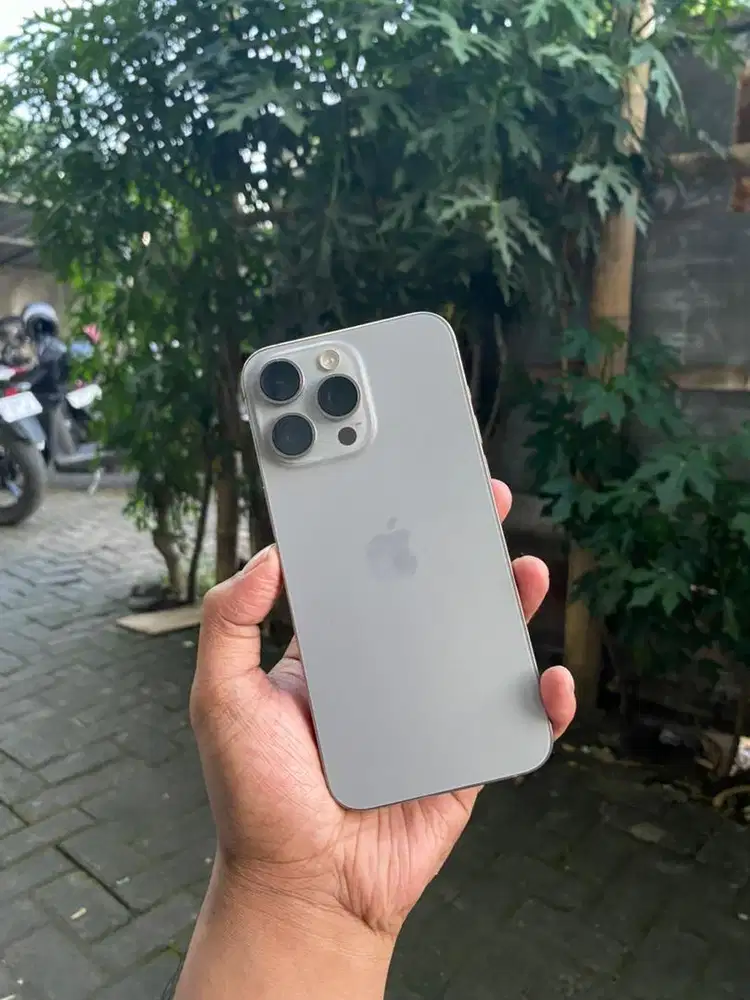 Iphone 15 Pro Max 256 Allprovider