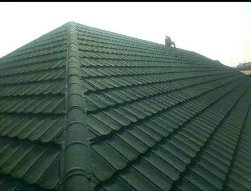 Pemasangan kanopi dan renovasi dll