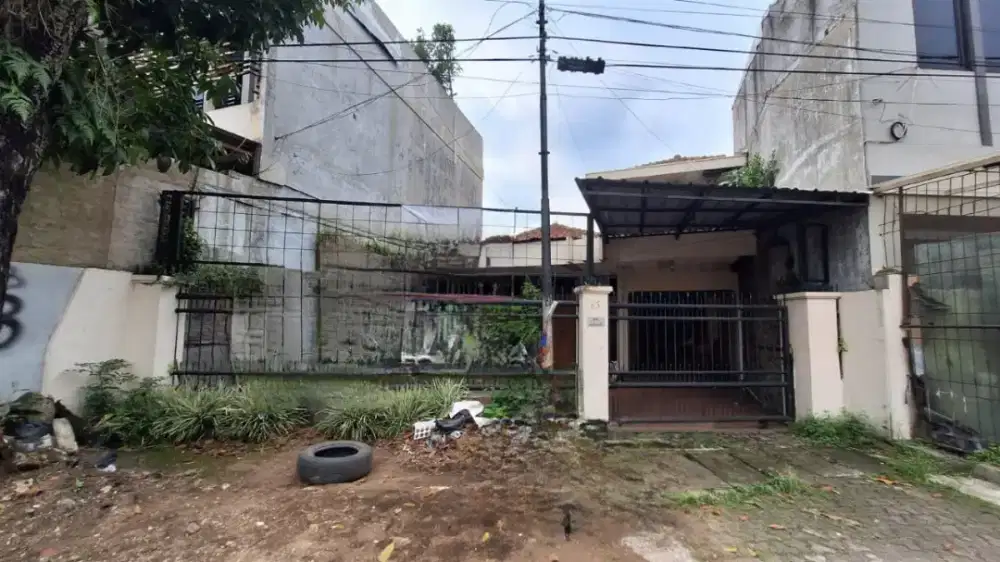 Sayap Lodaya Palasari Sangat Cocok Untuk Usaha