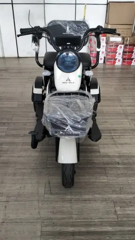 Sepeda listrik roda3 AVIATOR 230