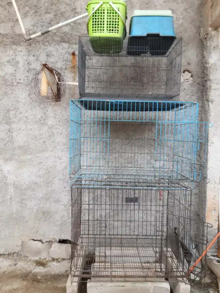 Kandang dan keranjang kucing