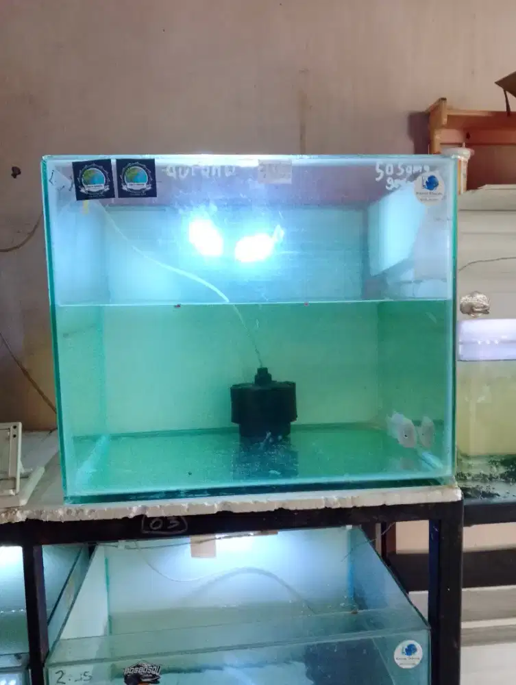 Akuarium 50*40cm