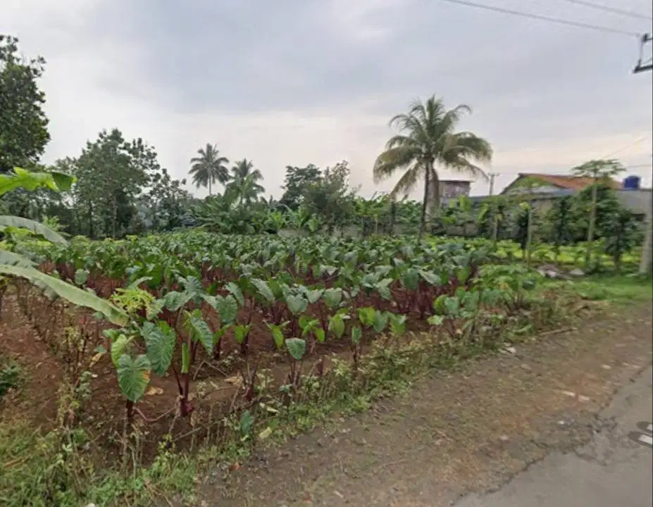 Dijual Tanah di Bogor Kemang, 280m2, Cocok buat Ruko dan Usaha