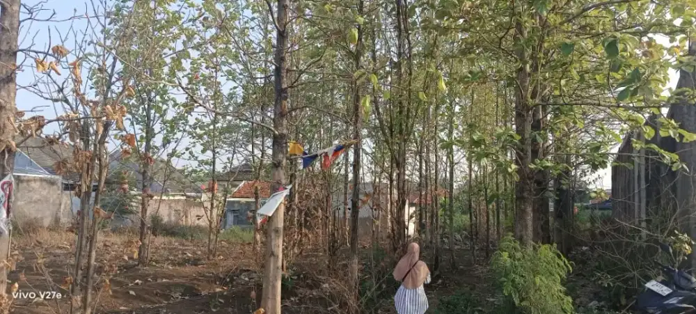 Dijual Tanah Luas 362 M2 SHM tanpa perantara