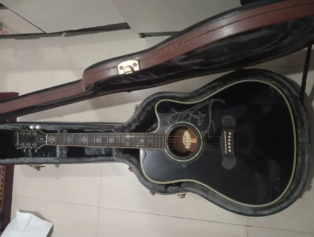 Jual Hardcase Gitar Akustik Elektrik
