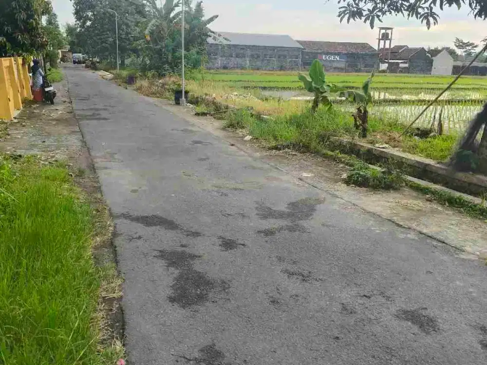 sawah Sidokarto Godean