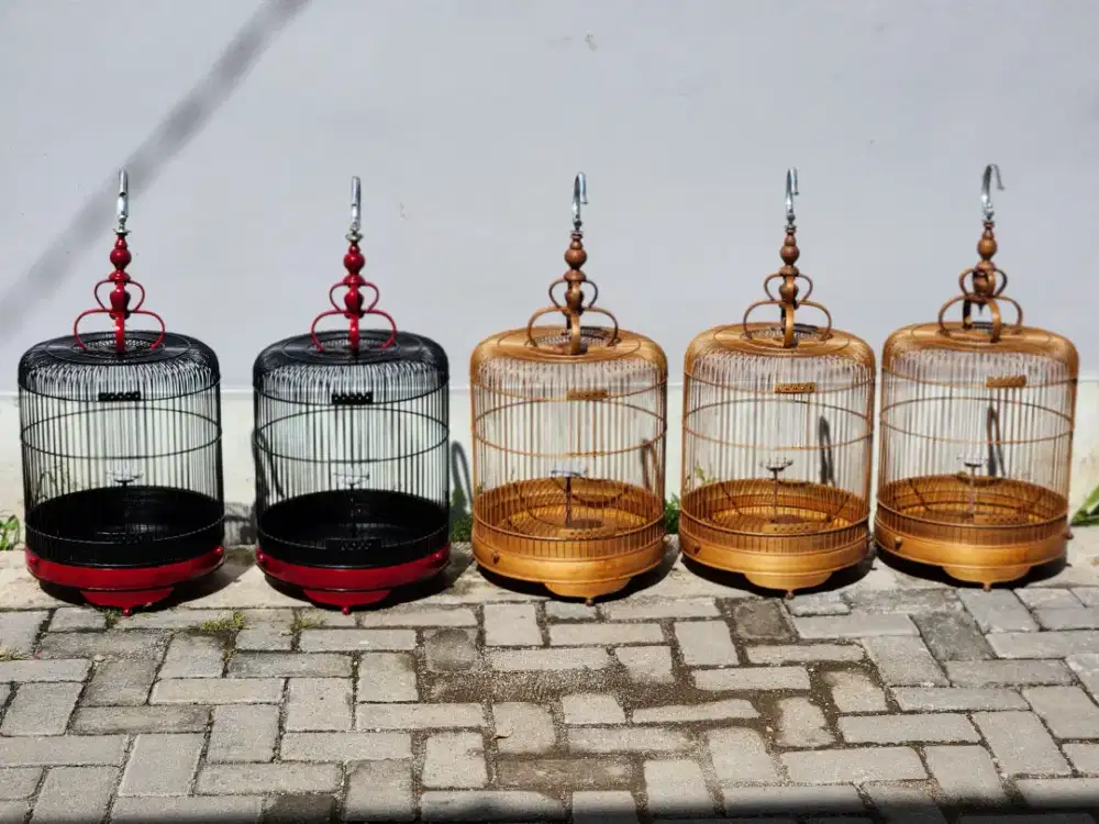 Hanha ada disini model sangkar branjangan custom