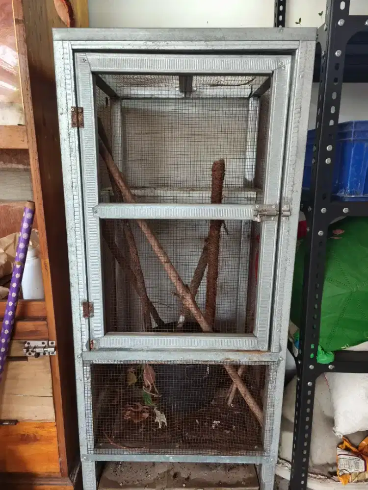 Kandang Bekas Chameleon