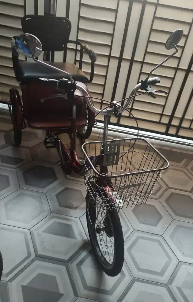 Sepeda roda tiga Tricycle