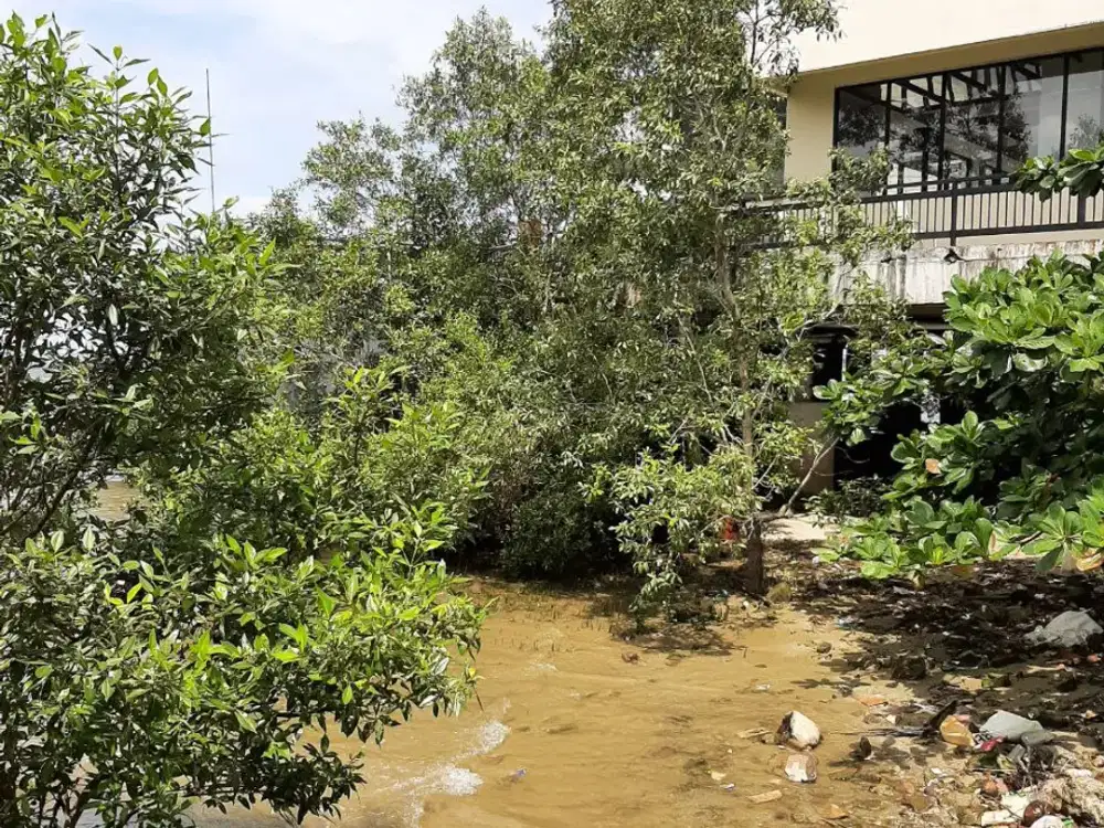 Jual Tanah Pinggir Pantai Tanjung Pandan Belitung