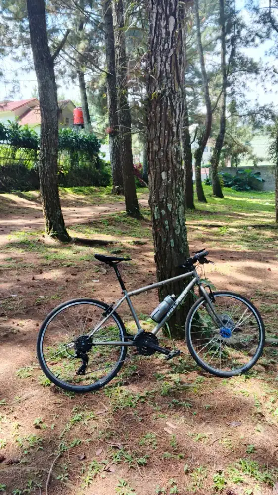 Sepeda polygon apollo original