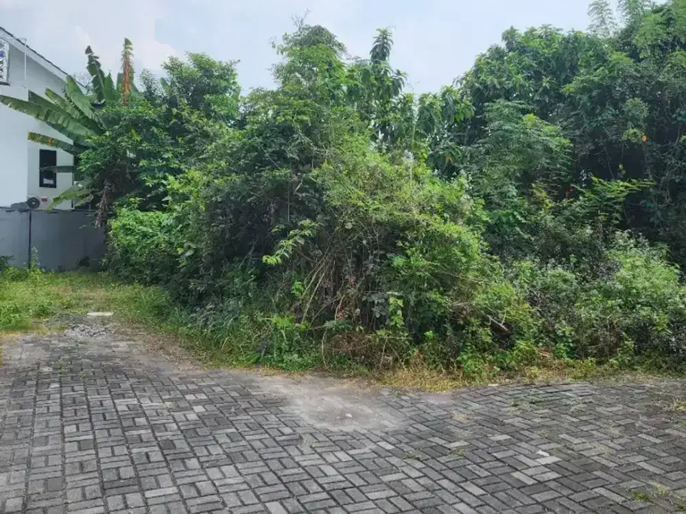 Dijual Pekarangan  Di Selatan Jalan Damai, Posisi Hook, Cocok Hunian dan Kos