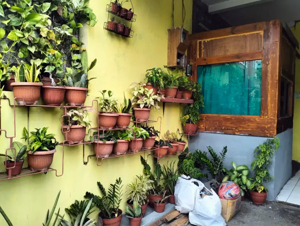 TERMURAH Kost Area Suhat Soekarno Hatta Dekat Kampus Brawijaya