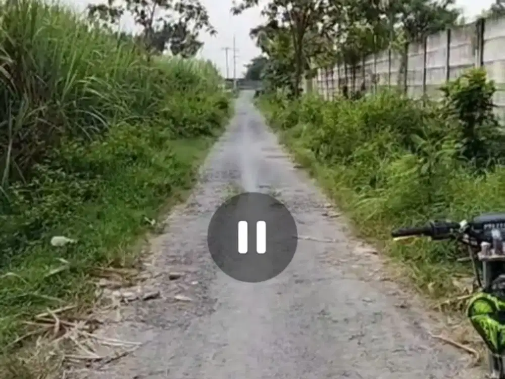 Dijual tanah untuk peternakan ayam atau tebu Ngoro, Jombang