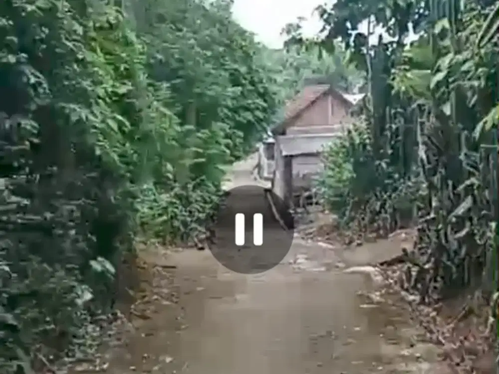 Dijual tanah bisa untuk perkebunan atau peternakan Bareng, Jombang