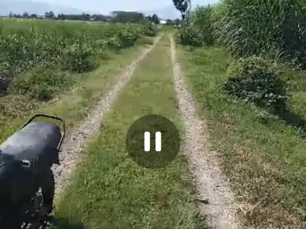 Dijual murah tanah pertanian dan peternakan Ngoro, Jombang