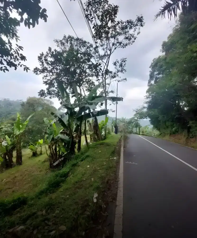 JUAL TANAH MURAH SHM PINGGIR JALAN RAYA KAB SEMARANG