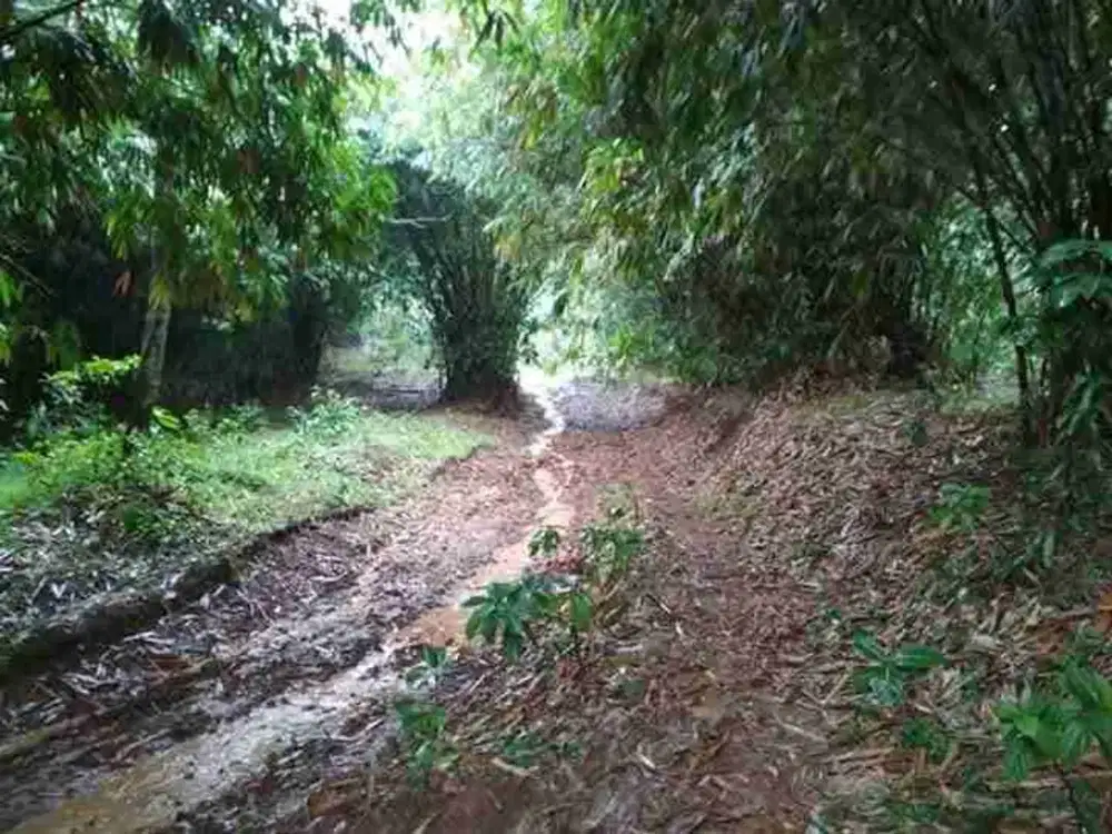 KAVLING MURAH SODONG JONGGOL BOGOR