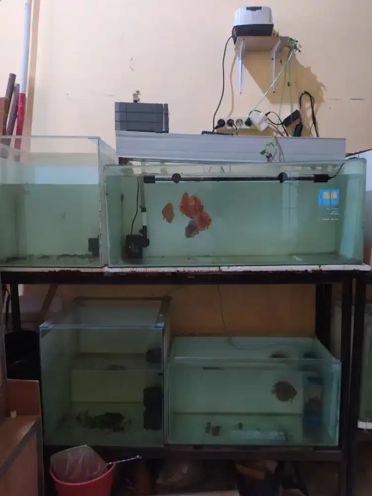 Jual murah 6 Aquarium besar + Rak