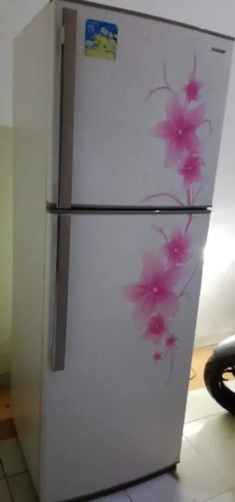 Kulkas 2 pintu jumbo