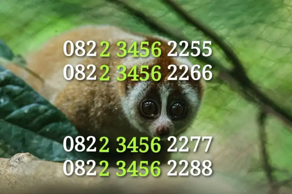 Simpati 23456 nomor cantik