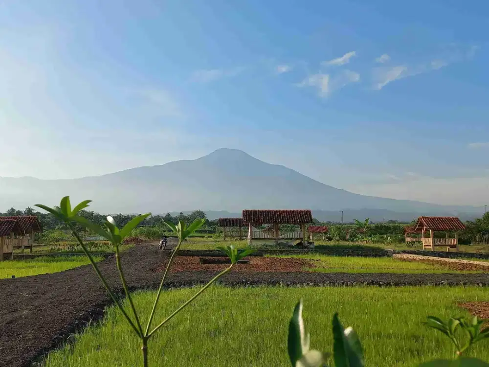TANAH VIEW EKSOTIS TERLARIS DI PURWOKERTO