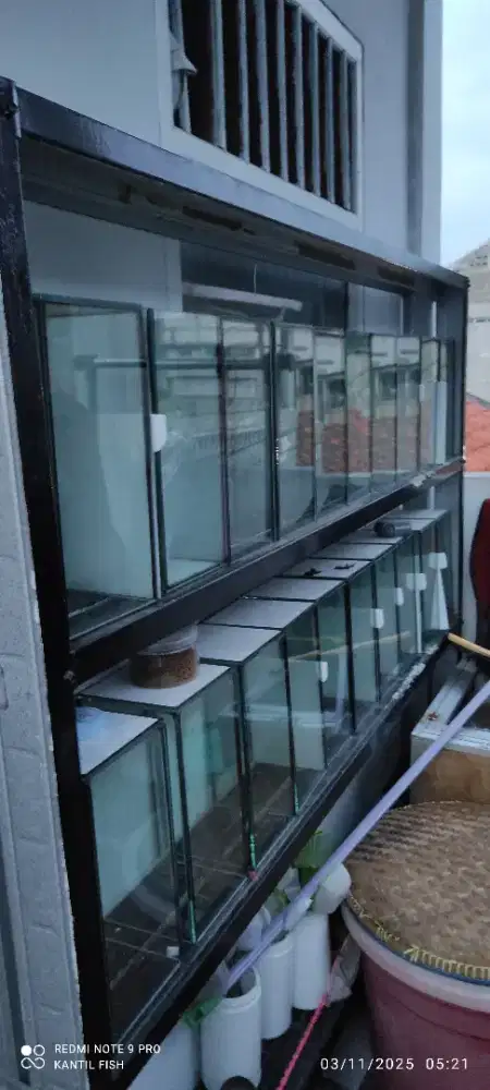 Aquarium Soliter dan Rak Full Set