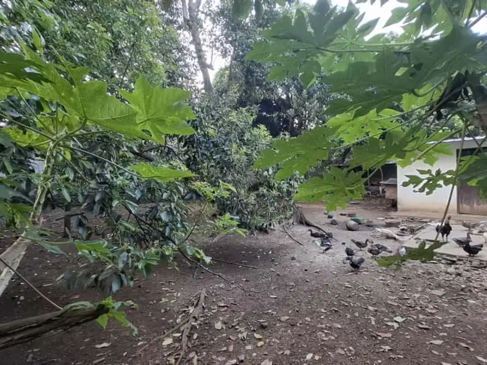 Kavling/ Tanah Luas 770 m2 Lokasi di Sukaraja Cicendo Bandung Jabar