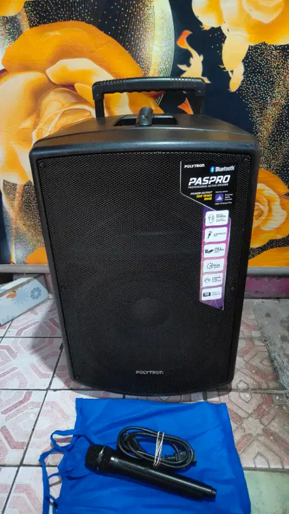 Salon portable polytron pas12f3