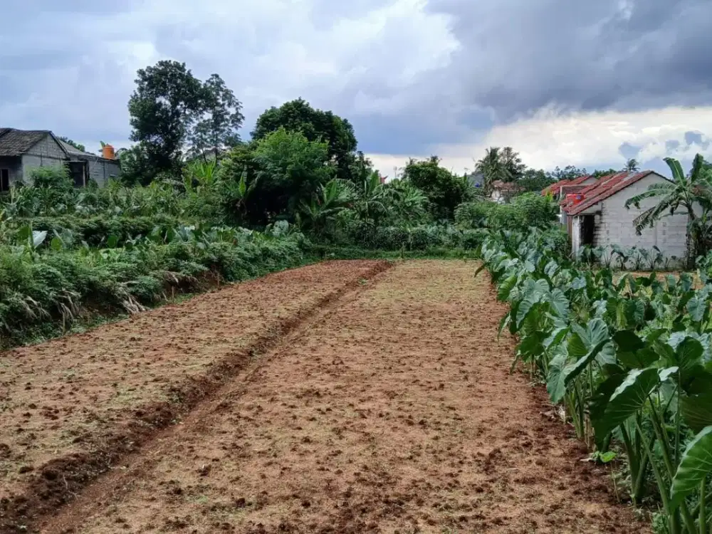 Kavling Kota Bogor Lokasi Strategis Cocok Untuk Hunian Dan Investasi Free SHM