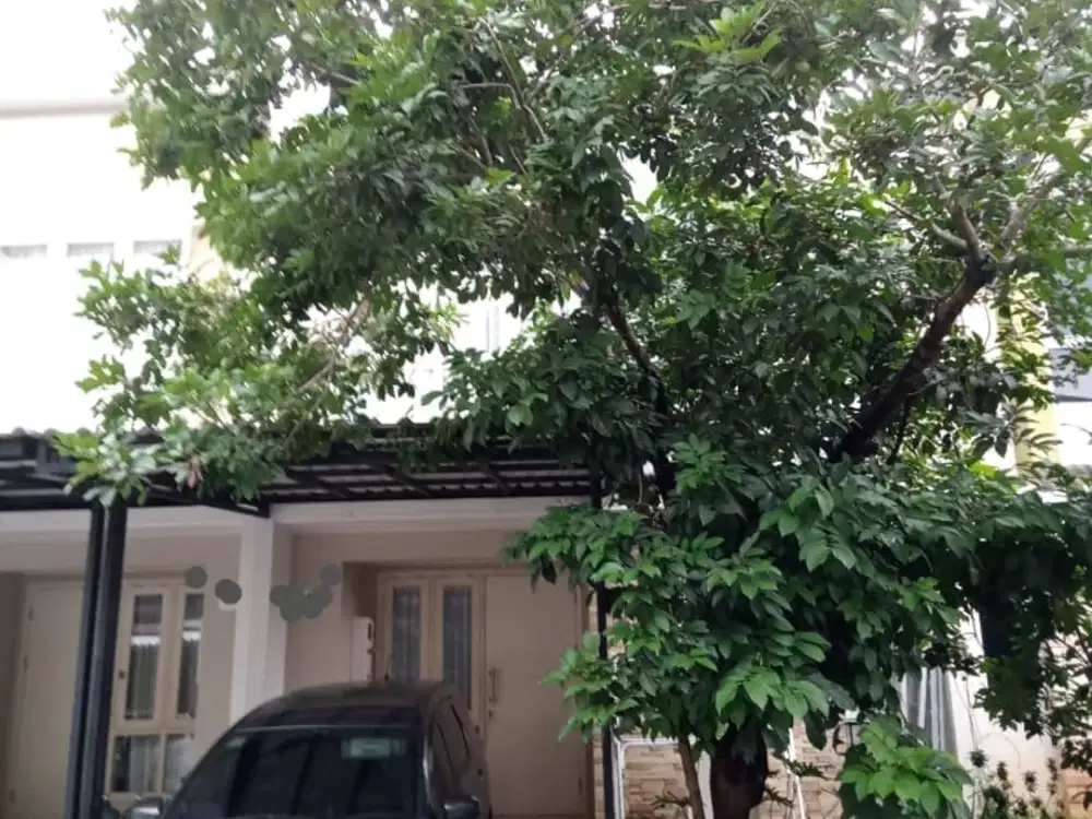 Termurah Cluster THOMSON Gading Serpong